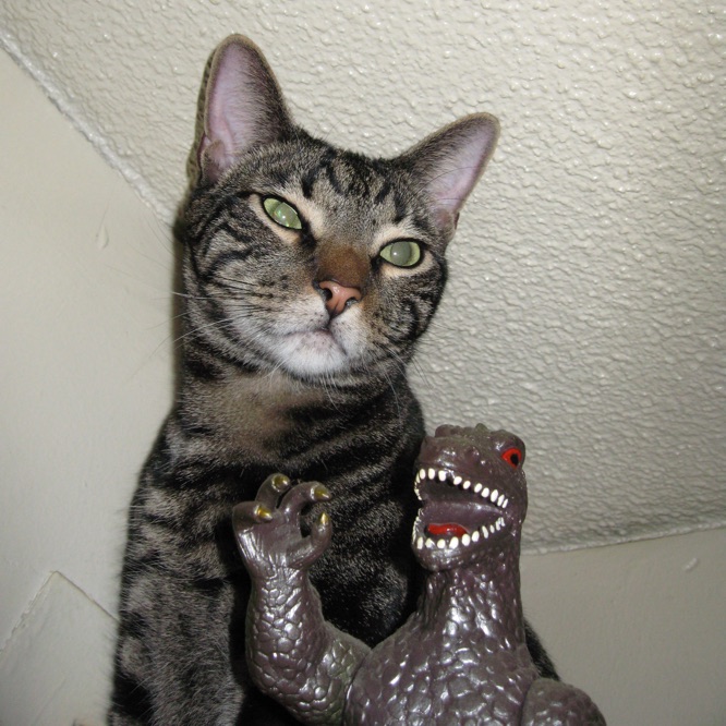 Close up of Esteban and Godzilla on their porch right under the ceiling