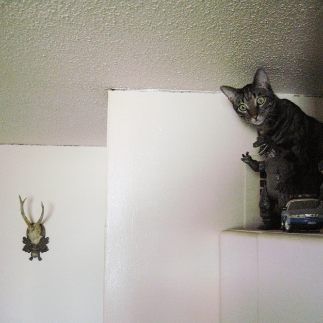 As seen from a distance, Esteban is almost hitting his head against
the ceiling while sitting next to Godzilla on a cupboard