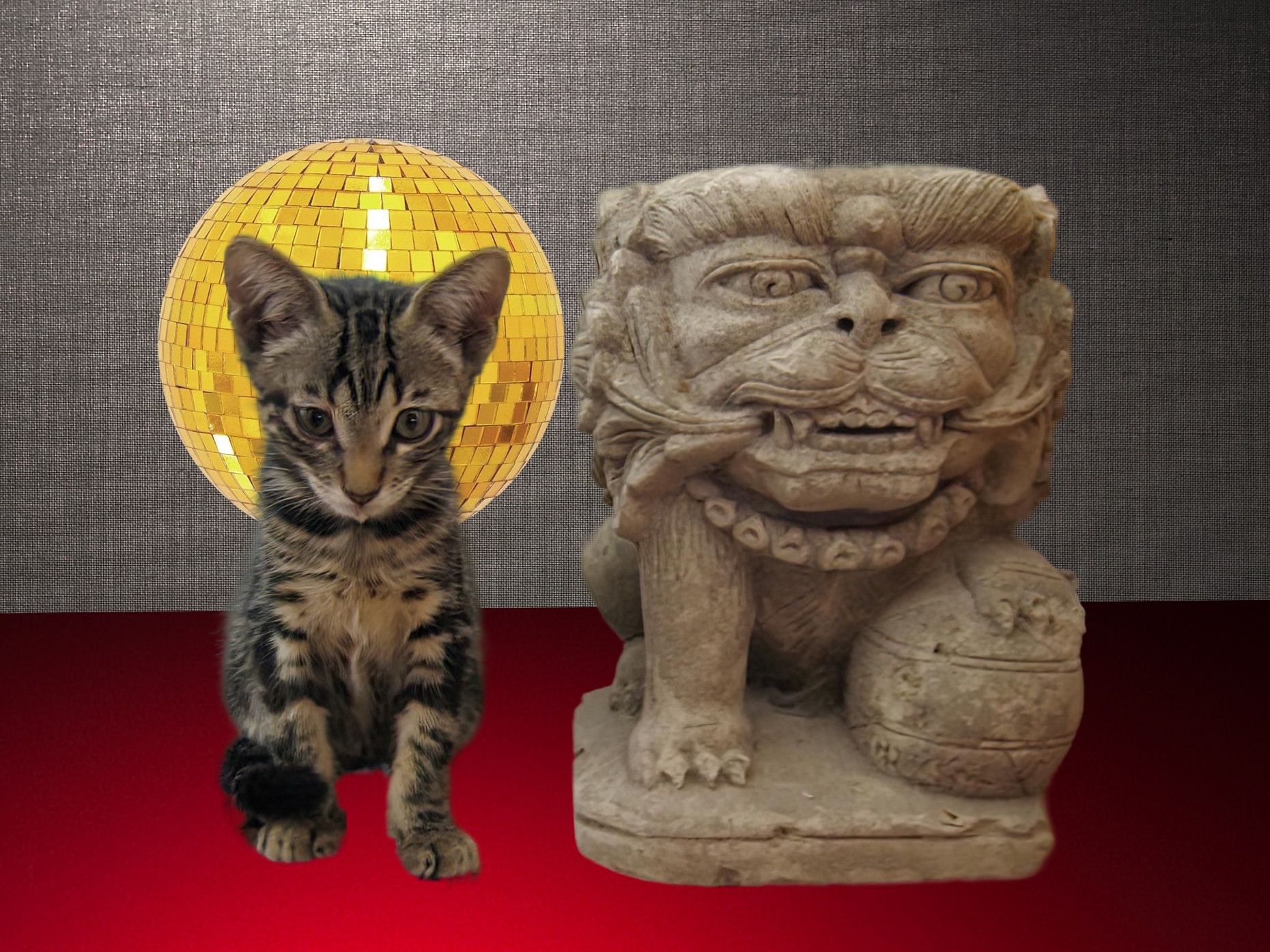 Esteban as a kitten with a gold
disco ball behind his head serving as halo sits next to the stone sculpture
of a squat, similarly sized Indonesian temple lion made from stone